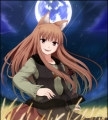   Holo