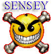   SENSEY