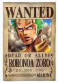   Roronoa Zoro 2011