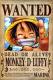   Monkey_D_Luffy